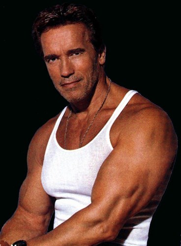 arnold-schwarzenegger-20060109-99171.jpg