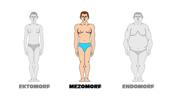 mezomorf